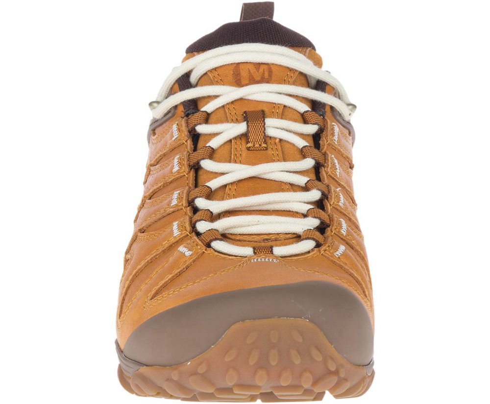 Buty Sportowe Merrell Męskie Brązowe - Cham 7 Slam Luna Skórzane - 249765-CTZ